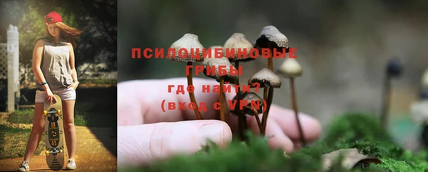 трава Елабуга