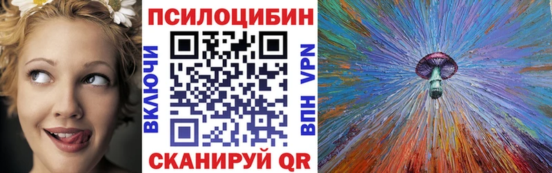 Купить  Подпорожье  Галлюциногенные грибы GOLDEN TEACHER 